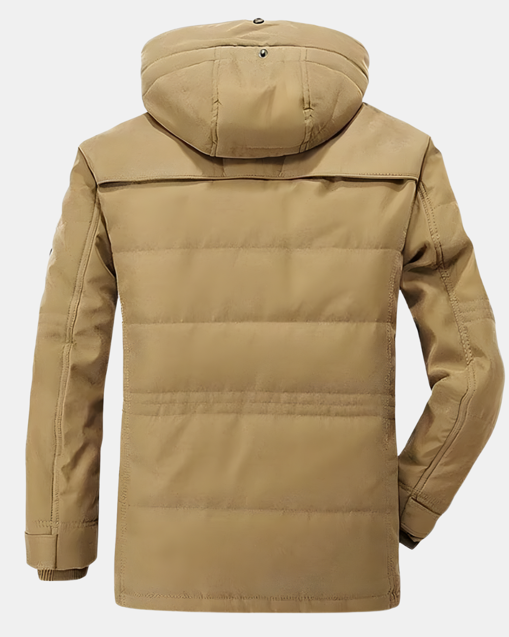 Veste rembourrée zippée coupe ajustée
